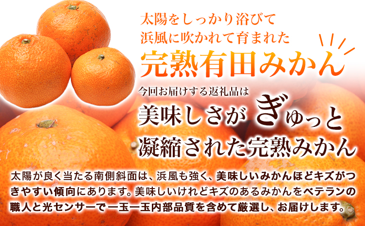 家庭用 完熟 有田みかん 2.5kg+250g （傷み補償分）【光センサー選果】池田鹿蔵農園@日高町（池田農園株式会社）《11月中旬-1月下旬頃出荷》和歌山県 日高町 訳あり わけあり みかん【配送不可地域あり】---wsh_idn284_11c1g_25_10000_2500g---
