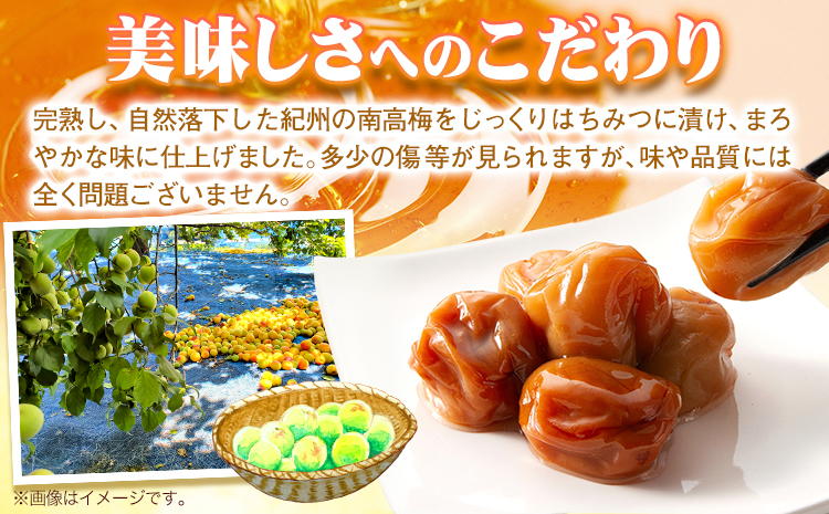 南高梅 はちみつ梅 わけあり 1kg 有限会社プラム《30日以内に出荷予定(土日祝除く)》