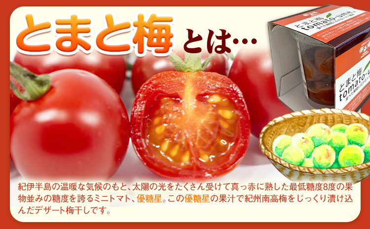 南高梅 tomato-ume とまと梅 100g×5 有限会社プラム《30日以内に出荷予定(土日祝除く)》