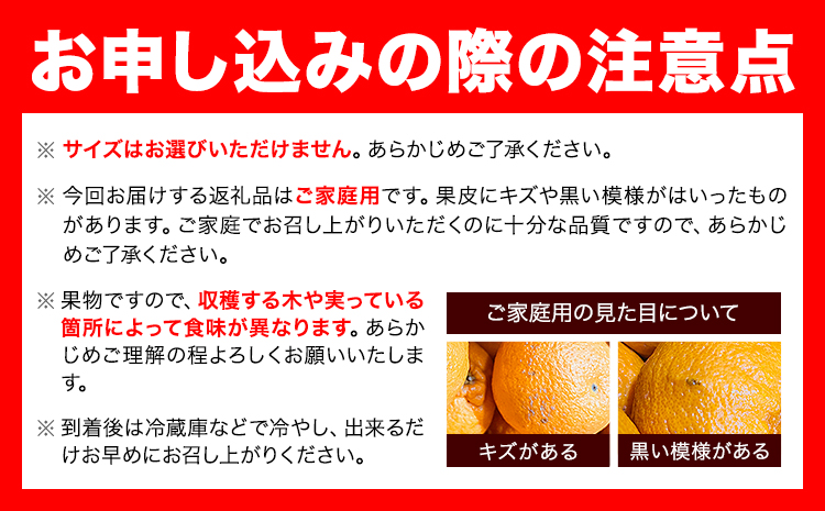 【先行予約】みかん ご 家庭用 完熟 有田みかん 約 1kg + 傷み補償 100g 有田マルシェ《11月上旬-1１月下旬頃出荷》和歌山県 日高町 みかん 有田みかん 柑橘 フルーツ 完熟 訳あり みかん 蜜柑 ミカン 柑橘---wsh_arm70_11j11g_25_6000_1kg---