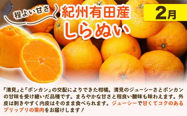 【発送月固定定期便】紀州 和歌山産 旬の ご家庭用 柑橘 セット (みかん 不知火 清見)【全３回】約16kg 魚鶴商店《1月上旬-3月末頃出荷予定(土日祝除く)》 和歌山県 日高町 みかん 不知火 清見 オレンジ 柑橘 蜜柑 果物 フルーツ 訳あり ギフト 送料無料 定期便---wsh_uotteik7_25_36000_mo3num1---