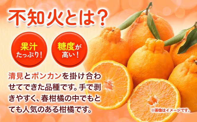 不知火 ( デコポンと同品種 ) しらぬい 約5kg (L～5Lサイズ) どの坂果樹園《2026年2月中旬-4月上旬頃出荷》 和歌山県 日高町 しらぬい 不知火 デコポン でこぽん 旬 果物 フルーツ 柑橘 産地直送 送料無料---wsh_dsk1_g24_24_11000_5kg---