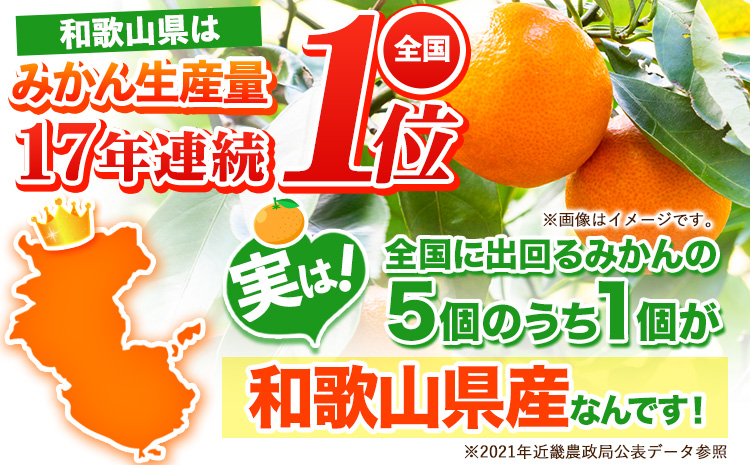 【先行予約】みかん はれひめ 約 5kg 25玉 ～ 30玉 道の駅 くしがきの里《2025年12月中旬-2月上旬頃出荷》 和歌山県 日高町 果物 フルーツ 柑橘 蜜柑 柑橘類 旬---wsh_kgr6_12c2j_25_15000_5kg---