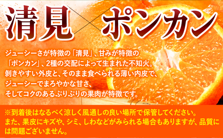 【ご家庭用】紀州有田産 不知火 ( しらぬひ ) 約3kg 魚鶴商店 《2月中旬-3月中旬頃出荷》 和歌山県 日高町 不知火 柑橘 果物 フルーツ デコポンと同品種 訳あり不知火 訳ありデコポン 訳あり 送料無料---wsh_uot118_2c3c_25_10000_3kg---