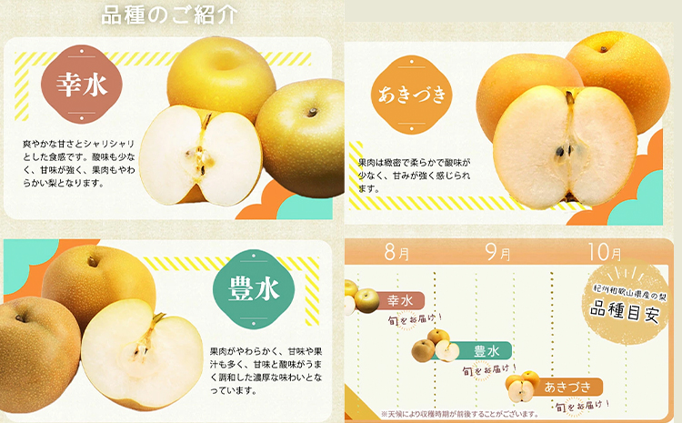 【先行予約】紀州和歌山県産の梨 3玉 化粧箱入 魚鶴商店《8月中旬-9月上旬頃出荷(土日祝除く)》和歌山県 日高町 和歌山県産 梨 なし ナシ 贈り物 ギフト----wsh_uot50_8c9j_24_10000_3t---