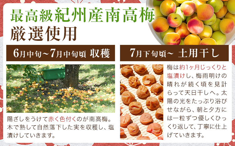 紀州南高梅 つぶれ梅 はちみつ漬 塩分8％ 1パック400g×3パック 株式会社味季屋《30日以内に出荷予定(土日祝除く)》和歌山県 日高町 梅 梅干し 南高梅 はちみつ梅---wsh_ajk6_30d_25_12000_3p---