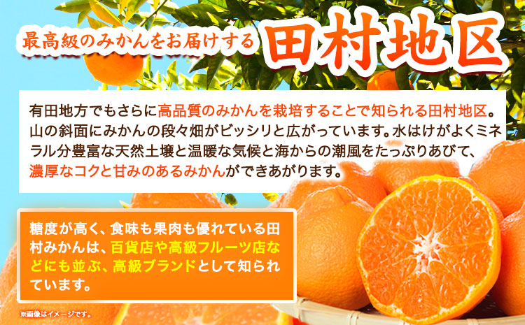 【先行予約】高級ブランド田村の完熟紀州デコ(不知火)約4.5kg株式会社魚鶴商店《2026年2月下旬-3月中旬頃出荷》不知火柑橘果物---wsh_uot123_2g3c_25_18000_45---