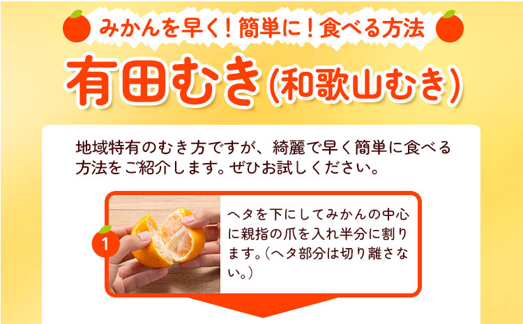 【先行予約】みかんご家庭用完熟有田みかん約5kg有田マルシェ《11月上旬-1１月下旬頃出荷》みかん有田みかん柑橘フルーツ完熟訳ありみかん蜜柑ミカン柑橘---wsh_arm72_11j11g_25_11000_5kg---