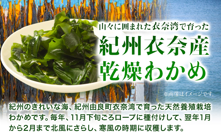 紀州衣奈産乾燥わかめ150g×5 2024年産《30日以内に出荷予定(土日祝除く)》ワカメお味噌汁サラダ酢の物スマイル---wsh_sml9_30d_24_22000_5p---