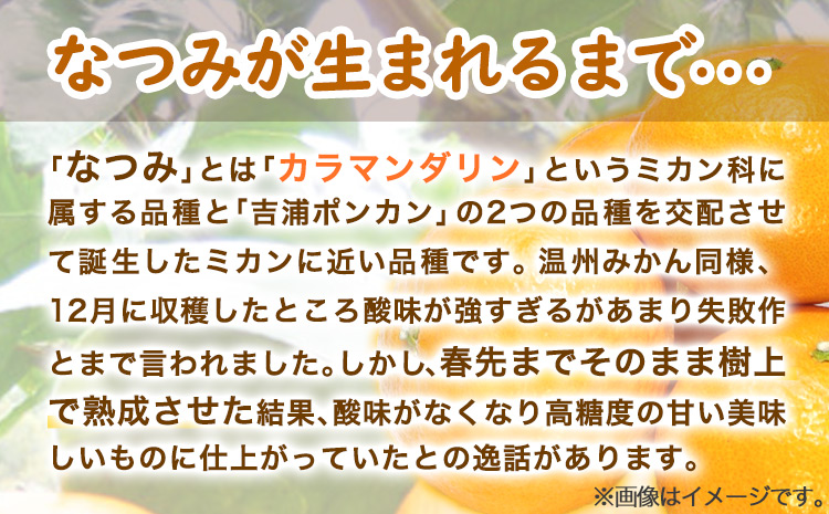 ＜先行予約＞初夏のみかんなつみ5kg株式会社魚鶴商店《2026年4月中旬-4月下旬頃出荷》みかんなつみ南津海柑橘果物フルーツ---wsh_uot139_4c4g_25_14000_5kg---