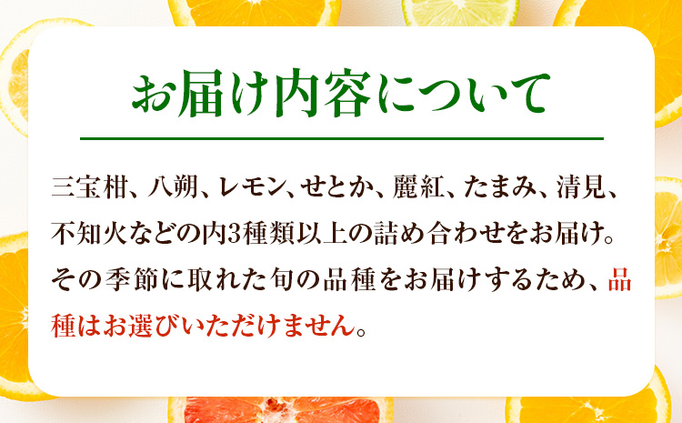 主井農園の季節のこだわりみのりセット 約5kg 主井農園《2月中旬-4月下旬頃出荷予定》 和歌山県 日高町 柑橘 みかん オレンジ せとか 清見オレンジ たまみ 不知火 デコポン 八朔 レモン 果物 フルーツ 詰合せ セット 送料無料---wsh_syi55_2c4g_25_19000_5kg---