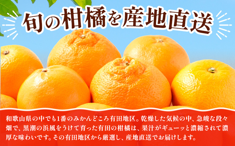 【先行予約】厳選 柑橘詰合せ 約5kg＋250g (傷み補償分) 3種類以上 有田の春みかん詰め合わせ 光センサー選別 池田鹿蔵農園 《2026年1月上旬-4月末頃出荷》 和歌山県 日高町 【配送不可地域あり】---wsh_idn304_1j4m_25_19000_5kg---