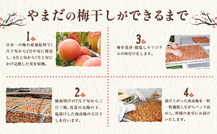 梅干し 紀州南高梅 つぶれ梅 大容量 花 うす塩 しそ 1.4kg 700g ×2パック 《60日以内に出荷予定(土日祝除く)》 株式会社やまだ 和歌山県 日高町 梅 塩 梅干 うめぼし 米 おかず しそ漬 国産 送料無料---wsh_ymd20_60d_25_13000_1s---