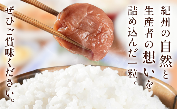 塩零梅 梅干し 紀州南高梅 食塩不使用 有限会社プラム 900g 《30日以内に出荷予定(土日祝除く)》和歌山県 日高町 送料無料 梅 うめ ウメ 南高梅 紀州---wsh_plm15_30d_25_14000_900g---