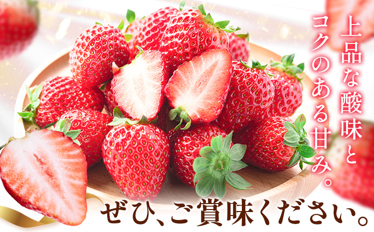 【先行予約】いちご 和歌山県産 紀州和歌山 ブランド いちご まりひめ 2パック 560g 株式会社魚鶴商店 《1月上旬-2月下旬頃出荷》 和歌山県 日高町 フルーツ 果物 スイーツ 甘い---wsh_cuot223_1j2g_25_13000_2p---
