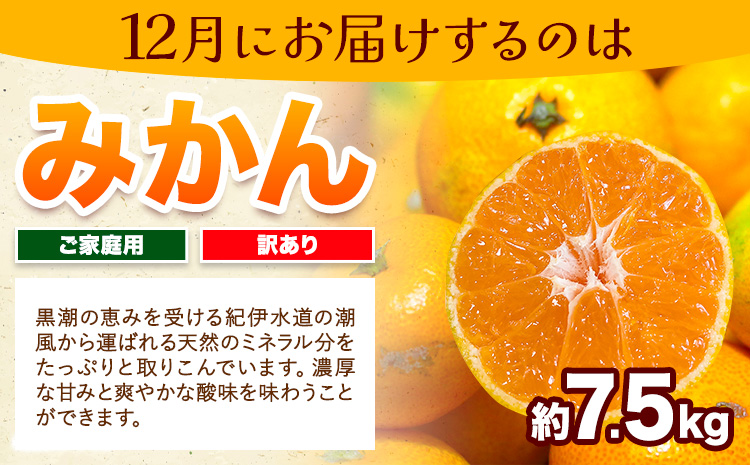 【発送月固定定期便】フルーツセット ご家庭用 訳あり果物セット (平核無柿 富有柿 みかん)【全３回】 魚鶴商店《10月上旬-12月末頃出荷予定(土日祝除く)》