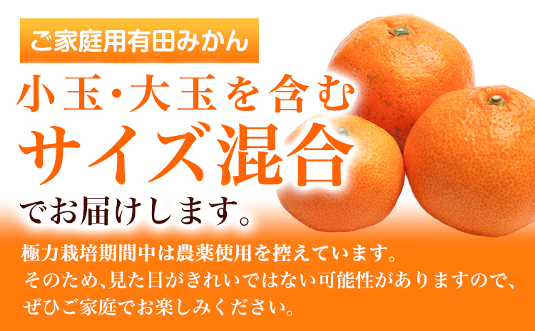 家庭用 完熟 有田みかん 5kg+250g （傷み補償分）【光センサー選果】池田鹿蔵農園@日高町（池田農園株式会社）《11月中旬-1月下旬頃出荷》和歌山県 日高町 訳あり わけあり みかん【配送不可地域あり】---wsh_idn285_11c1g_25_16000_5kg---