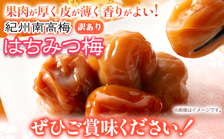南高梅 はちみつ梅 わけあり 1kg 有限会社プラム《30日以内に出荷予定(土日祝除く)》