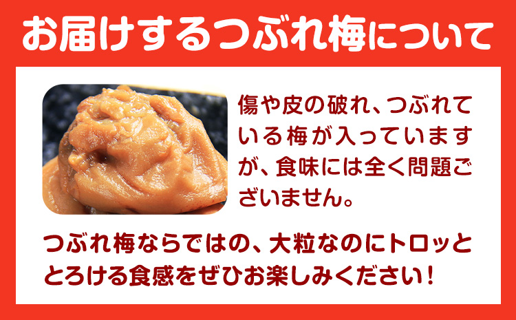 訳あり ご家庭用 とろける果肉 紀州南高梅 はちみつ梅 つぶれ梅 大容量 約1.2kg 有限会社プラム《30日以内に出荷予定(土日祝除く)》和歌山県 日高町 梅 うめ ウメ 南高梅 つぶれ梅 蜂蜜 紀州 送料無料---wsh_plm19_30d_25_11000_1200g---