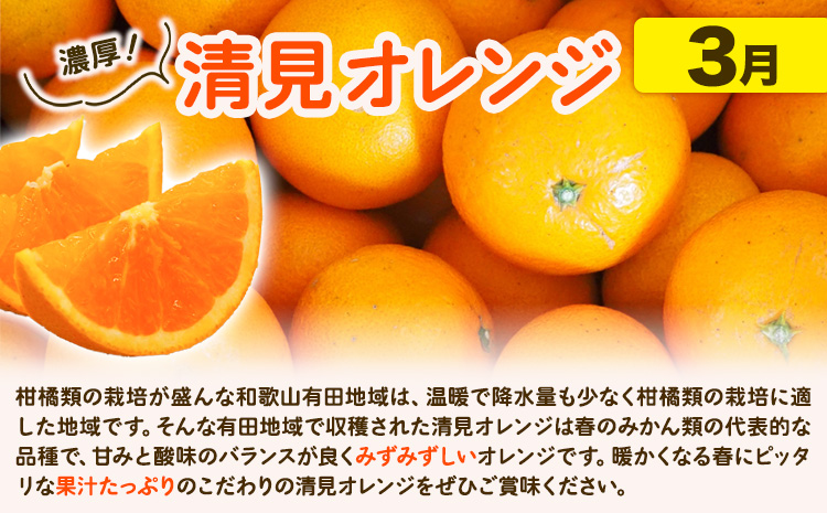 【発送月固定定期便】紀州 和歌山産 旬の ご家庭用 柑橘 セット (みかん 不知火 清見)【全３回】 計23.5kg 魚鶴商店《1月上旬-3月末頃出荷予定(土日祝除く)》 和歌山県 日高町 みかん 不知火 清見 オレンジ 柑橘 蜜柑 果物 フルーツ 訳あり ギフト 送料無料 定期便---wsh_uot123tei_25_51000_mo3num1---