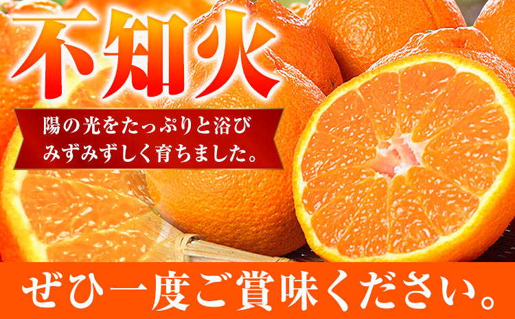 【先行予約】紀州有田産不知火( デコポン と同品種 ) 内容量 約 2.5kg 株式会社魚鶴商店《2026年2月中旬-3月中頃より出荷予定》 和歌山県 日高町 不知火 しらぬい 柑橘 ご家庭用 デコポン でこぽん しらぬい 訳ありデコポン---wsh_uot116_2c3c_25_10000_25---