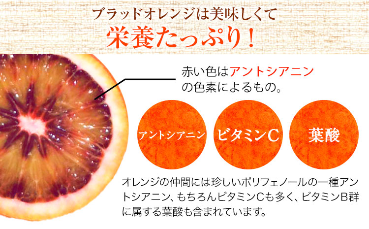 ＜先行予約＞紀州有田産ブラッド オレンジ 約 5kg【ご家庭用】 魚鶴商店《2026年3月上旬-3月下旬頃出荷》 和歌山県 日高町 紀州有田産 オレンジ みかん ご家庭用---wsh_uot133_3j3g_25_21000_5kg---