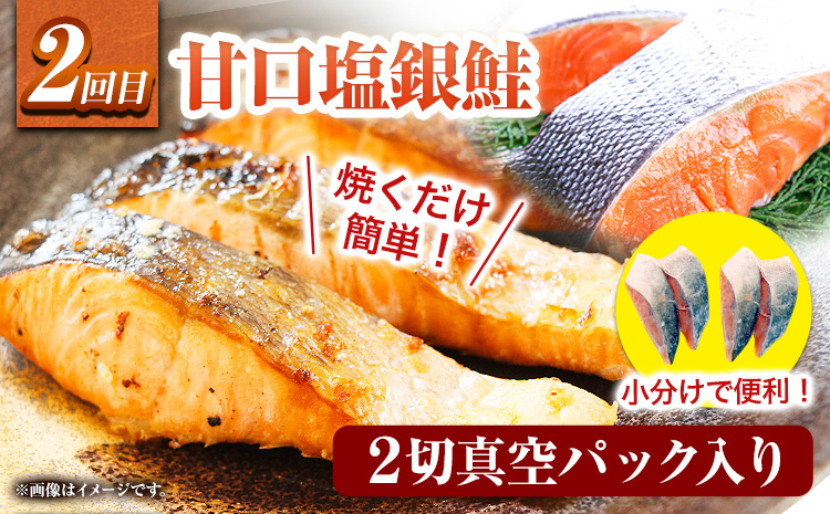 【定期便 全3回】 E サバフィレ 8枚 銀鮭切身 8枚 紅鮭切身 1kg 株式会社魚鶴商店《お申し込み月の翌月より出荷開始》和歌山県 日高町 鮭 さけ 紅さけ 切り身 さば 塩さば 焼き魚 焼くだけ 簡単 魚 さかな---wsh_uotteie2_25_35000_mo3num1---