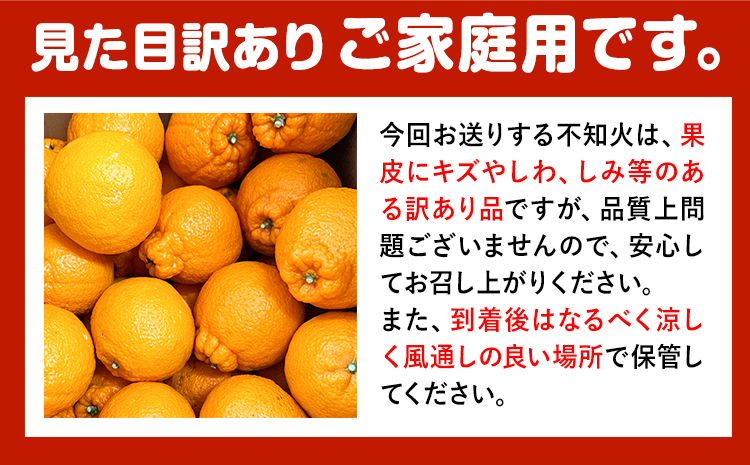 【ご家庭用】紀州有田産 不知火 ( しらぬひ ) 約6kg 魚鶴商店 《2026年2月中旬-3月中旬頃出荷》 和歌山県 日高町 不知火 柑橘 果物 フルーツ デコポンと同品種 訳あり不知火 訳ありデコポン 訳あり 送料無料---wsh_uot119_2c3c_25_15000_6kg---