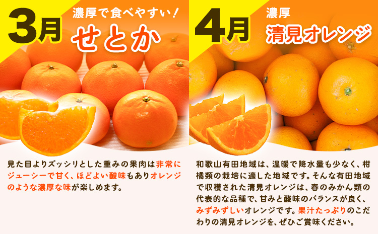 【発送月固定定期便】紀州 和歌山産 旬の ご家庭用 柑橘 セット (みかん 不知火 せとか 清見)【全4回】 計19kg 魚鶴商店《1月上旬-5月上旬頃出荷》 和歌山県 日高町 みかん 不知火 清見 オレンジ 柑橘 蜜柑 果物 訳あり 送料無料 定期便---wsh_uotteik8_25_48000_mo4num1---