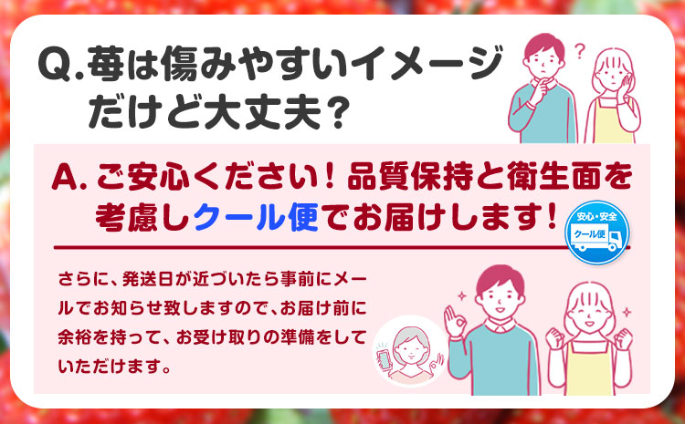 【先行予約】紀州和歌山県ブランドいちご「まりひめ」約250g×4パック 計1kg 株式会社魚鶴商店《2026年3月上旬-3月下旬頃出荷》和歌山県 日高町 いちご 苺 まりひめ フルーツ 果物 スイーツ 送料無料 ---wsh_cuot101_3j3g_25_18000_4p---