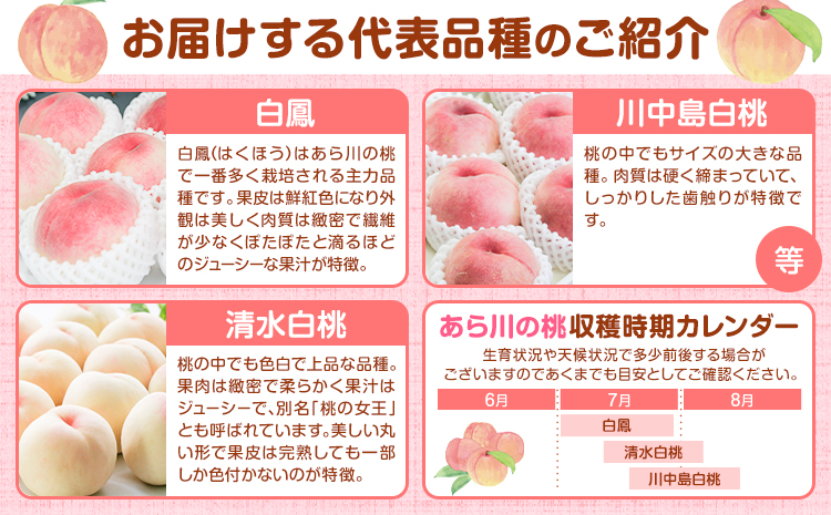 和歌山の厳選白桃【白鳳・清水白桃・川中島白桃 等】化粧箱入り 約2kg 池田鹿蔵農園《7月上旬-8月中旬頃出荷》