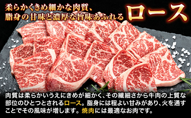 熊野牛ロース焼肉用500g(粉山椒付)澤株式会社(MeatFactory)《30日以内に出荷予定(土日祝除く)》---wsh_fswam31_30d_24_34000_500g---