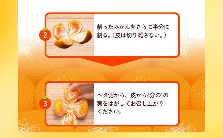 みかん完熟有田みかん約3kg有田マルシェ《11月中旬-1月上旬頃出荷予定》みかん有田みかん柑橘フルーツ完熟ミカン蜜柑---wsh_arm104_11c1j_25_8000_3kg---