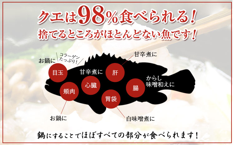 産地直送！クエ鍋セット４人前(2人前1セット×２)岬旅館《90日以内に出荷(土日祝除く)》クエ魚鍋セット---wsh_cmskke_90d_22_80000_2p---