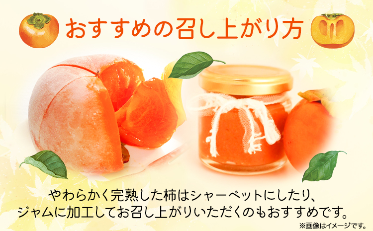 ＊先行予約＊和歌山秋の味覚富有柿約7.5kg株式会社魚鶴商店《2026年11月中旬-12月上旬頃出荷》柿富有柿フルーツ---wsh_uot199_11c12j_25_25000_75---