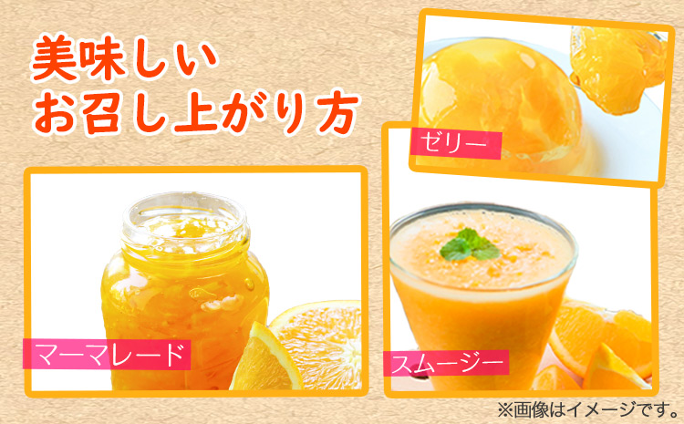 ＜先行予約＞初夏のみかんなつみ5kg株式会社魚鶴商店《2026年4月中旬-4月下旬頃出荷》みかんなつみ南津海柑橘果物フルーツ---wsh_uot139_4c4g_25_14000_5kg---