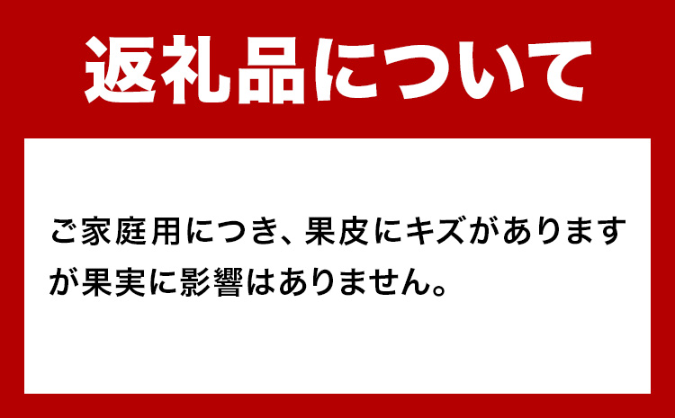 主井農園の季節のこだわりみのりセット ご家庭用 約 5kg 主井農園《2月中旬-4月下旬頃出荷予定》 和歌山県 日高町 柑橘 みかん オレンジ せとか 清見オレンジ たまみ 不知火 デコポン 八朔 レモン 果物 詰合せ 訳あり 送料無料---wsh_syi56_2c4g_25_12000_5kg---