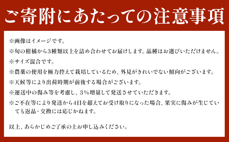【先行予約】厳選 柑橘詰合せ 約1kg＋250g (傷み補償分) 3種類以上 有田の春みかん詰め合わせ 光センサー選別 池田鹿蔵農園 《2026年1月上旬-4月末頃出荷》 和歌山県 日高町 【配送不可地域あり】---wsh_idn302_1j4m_25_8000_1kg---