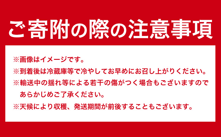 【先行予約】いちご 和歌山県産 紀州和歌山 ブランド いちご まりひめ 計1kg 250g×4パック 株式会社魚鶴商店 《1月上旬-2月下旬頃出荷》 和歌山県 日高町 フルーツ 果物 スイーツ 甘い---wsh_cuot224_1j2g_25_18000_4p---