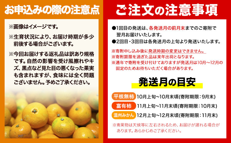 【発送月固定定期便】フルーツセット ご家庭用 訳あり果物セット (平核無柿 富有柿 みかん)【全３回】 魚鶴商店《10月上旬-12月末頃出荷予定(土日祝除く)》