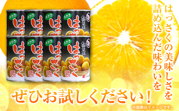 和歌山産手剥き八朔缶詰 450g×8缶入 日高町厳選館《90日以内に発送予定(土日祝除く)》
