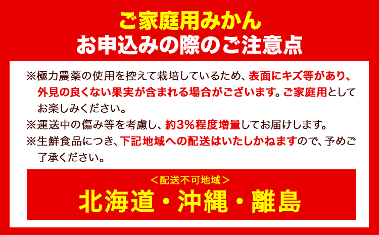 家庭用 完熟 有田みかん 2.5kg+250g （傷み補償分）【光センサー選果】池田鹿蔵農園@日高町（池田農園株式会社）《11月中旬-1月下旬頃出荷》和歌山県 日高町 訳あり わけあり みかん【配送不可地域あり】---wsh_idn284_11c1g_25_10000_2500g---