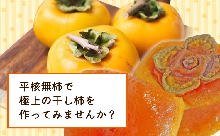 【2026年先行予約】T字枝付つるし柿用生渋柿 1.5〜2kg ふるさと農園《2026年10月中旬～11月上旬頃発送予定》---wsh_fsn1_10c11j_25_12000_2kg---