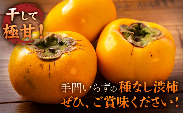 【2026年先行予約】柿 かき あんぽ柿用 T軸枝無 種なし 生渋柿 1.5~2kg ふるさと農園《10月中旬-11月上旬頃より発送予定(土日祝除く)》 和歌山県 日高町 贈り物 ギフトｰｰｰwsh_fsn15_10c11j_25_11000_612---