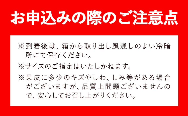 ＜先行予約＞とにかくジューシー 清見 オレンジ 2.5kg 株式会社魚鶴商店《2026年3月下旬-4月中旬頃出荷》和歌山県 日高町 柑橘 果物 フルーツ 清見オレンジ---wsh_uot134_3g4c_25_10000_2500g---