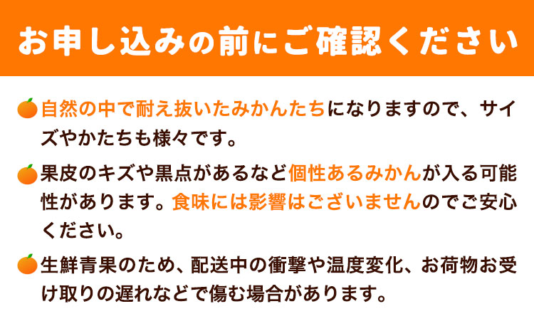 不知火 ( デコポンと同品種 ) しらぬい 約5kg (L～5Lサイズ) どの坂果樹園《2026年2月中旬-4月上旬頃出荷》 和歌山県 日高町 しらぬい 不知火 デコポン でこぽん 旬 果物 フルーツ 柑橘 産地直送 送料無料---wsh_dsk1_g24_24_11000_5kg---