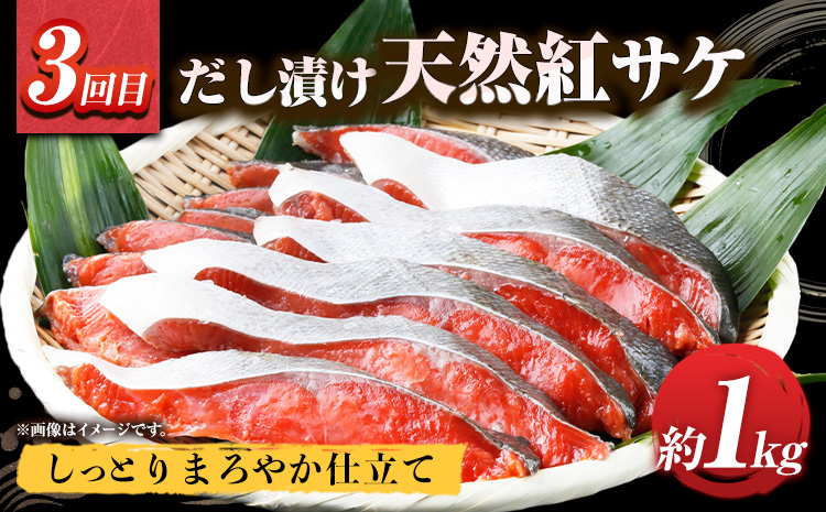 【定期便 全3回】 E サバフィレ 8枚 銀鮭切身 8枚 紅鮭切身 1kg 株式会社魚鶴商店《お申し込み月の翌月より出荷開始》和歌山県 日高町 鮭 さけ 紅さけ 切り身 さば 塩さば 焼き魚 焼くだけ 簡単 魚 さかな---wsh_uotteie2_25_35000_mo3num1---