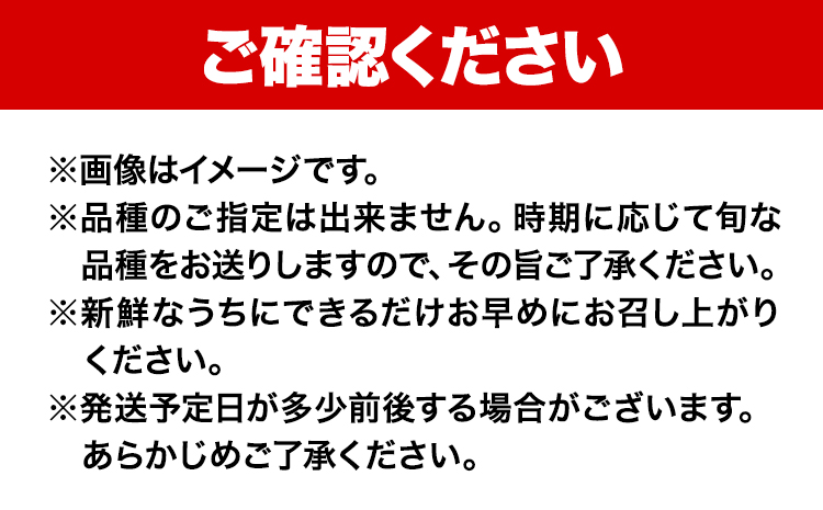 【先行予約】紀州和歌山県産の梨 3玉 化粧箱入 魚鶴商店《8月中旬-9月上旬頃出荷(土日祝除く)》和歌山県 日高町 和歌山県産 梨 なし ナシ 贈り物 ギフト----wsh_uot50_8c9j_24_10000_3t---