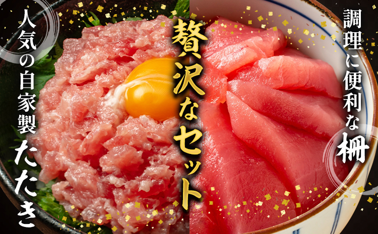 那智勝浦直送 天然もちもち生ビン長まぐろとまぐろたたきセット 4人前 株式会社魚鶴商店《30日以内に出荷予定(土日祝除く)》 和歌山県 日高町 まぐろ 魚 マグロ たたき ねぎとろ 海鮮 鮪 魚介 さかな ビン長 ビン長まぐろ---wsh_cuot53_30d_24_21000_4set---