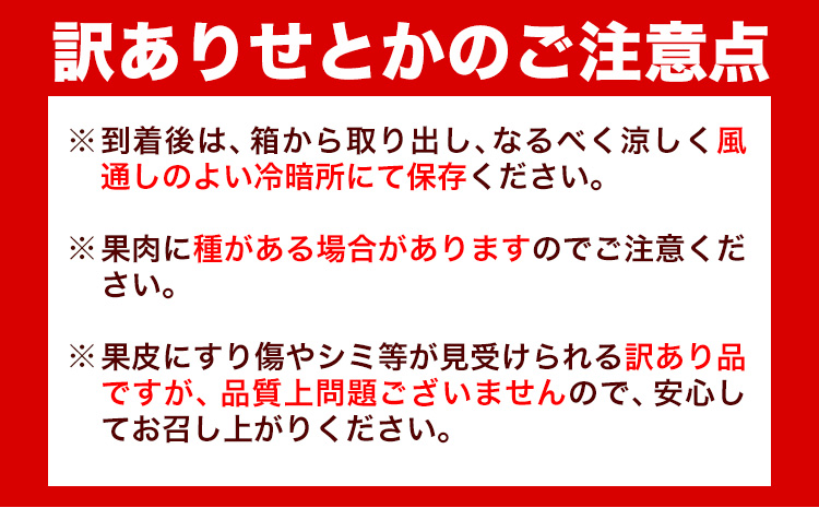 【先行予約】【家庭用 訳あり】とろける食感!ジューシー柑橘 せとか 約 5kg 魚鶴商店 《2026年2月上旬-3月中旬頃出荷》 和歌山県 日高町 みかん 柑橘 果物 フルーツ 送料無料---wsh_uot115_2j3c_25_21000_5kg---